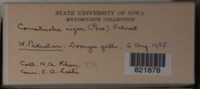 Image Associated With the Occurence